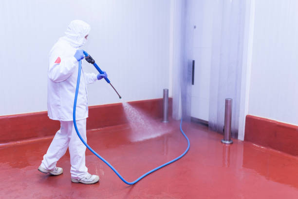 Best Rust Removal  in Lowell, IN