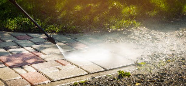 Animal Enclosure Cleaning in Lowell, IN